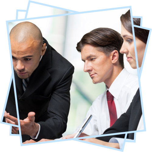 Steiner Web Design Team